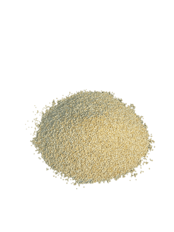 Quinoa branca em grãos - Image 2